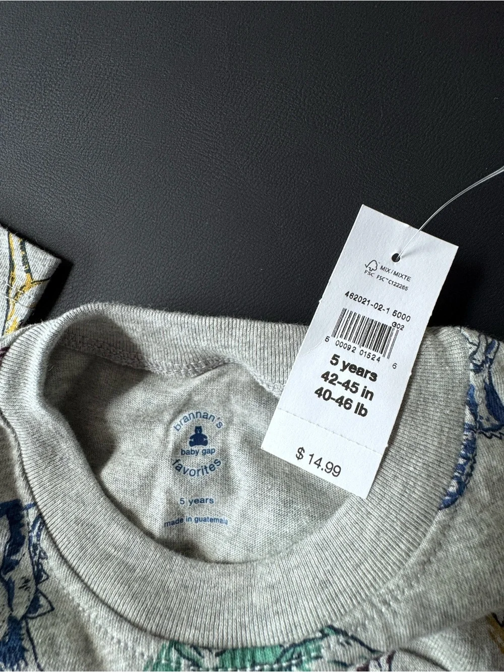 GAP Gray Long Sleeve Kids Pajama Set with Multicolor Dinosaur Prints